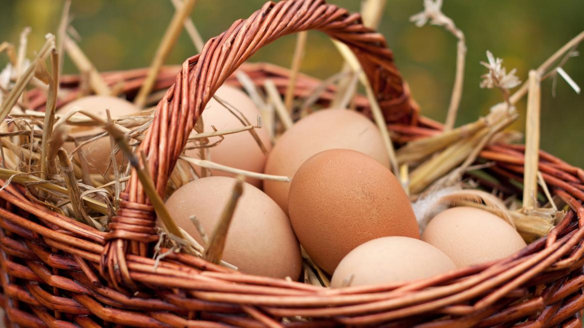 Huevos frescos de gallina en una cesta