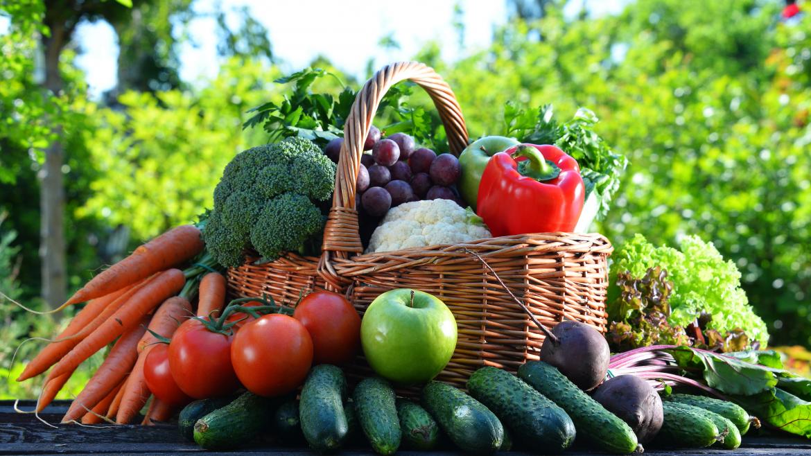 Verduras y hortalizas
