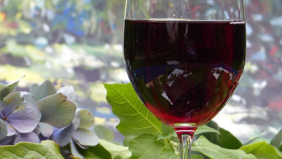 vino tinto vino tinto