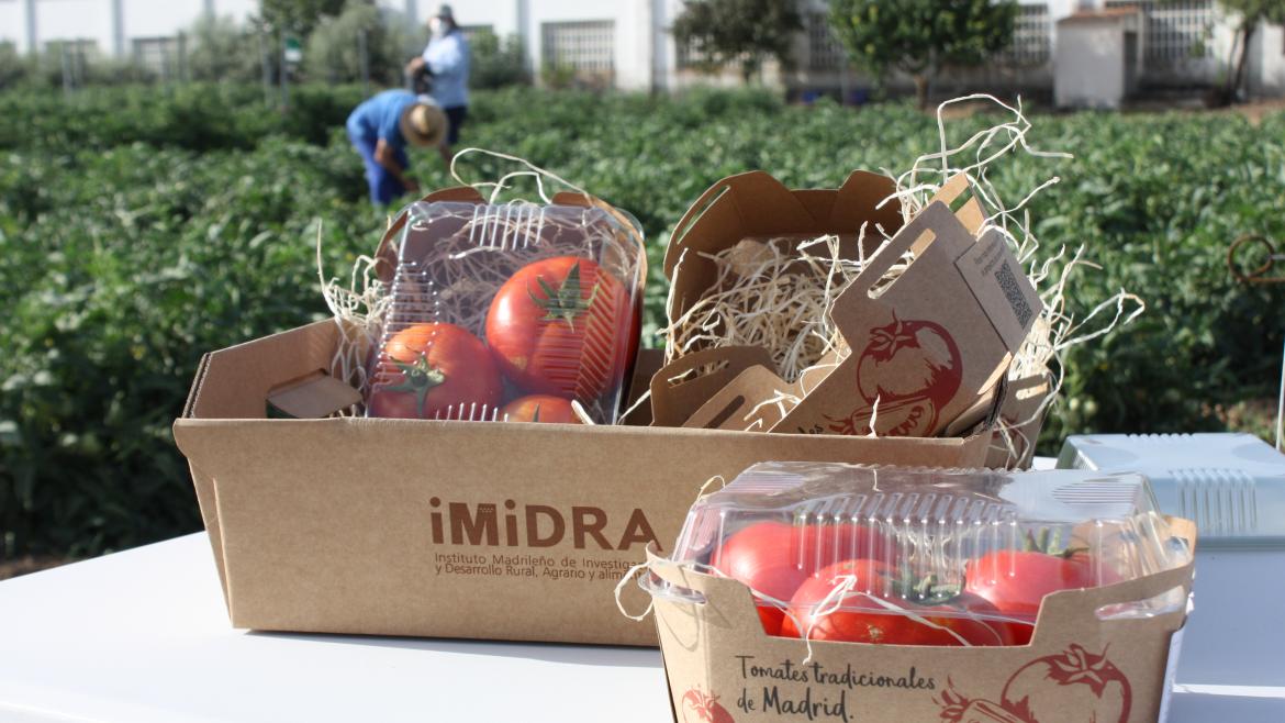 tomates_imidra Tomates del IMIDRA