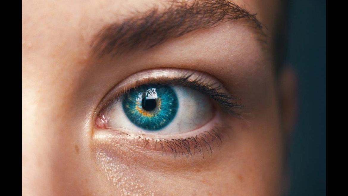 Ojo humano, oftalmología