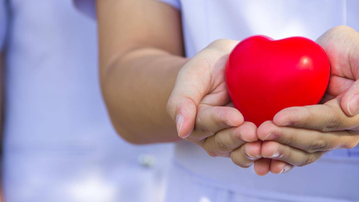Manos y corazón manos con un corazón de juguete