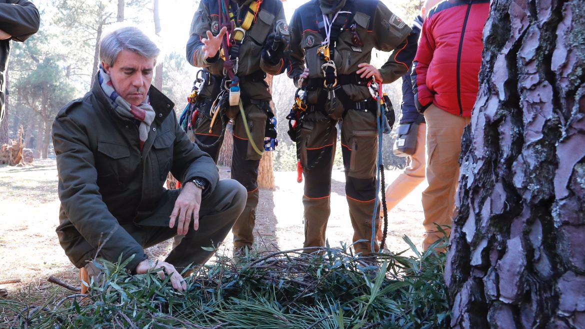 Cuerpo de Agentes Forestales de la Comunidad de Madrid