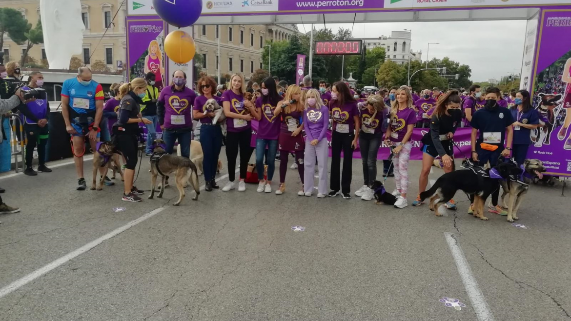 Imagen de cabecera #0 de la página de "Registramos 7.990 adopciones de animales domésticos en 2020, el mayor dato de nuestra historia"
