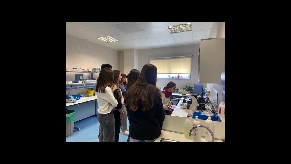 Los hospitales públicos de la Comunidad de Madrid reciben a más de 650 alumnos de la región en el marco del programa 4º ESO + Empresa Alumnos en una clase sobre sanidad en el Hospital Ramón y Cajal