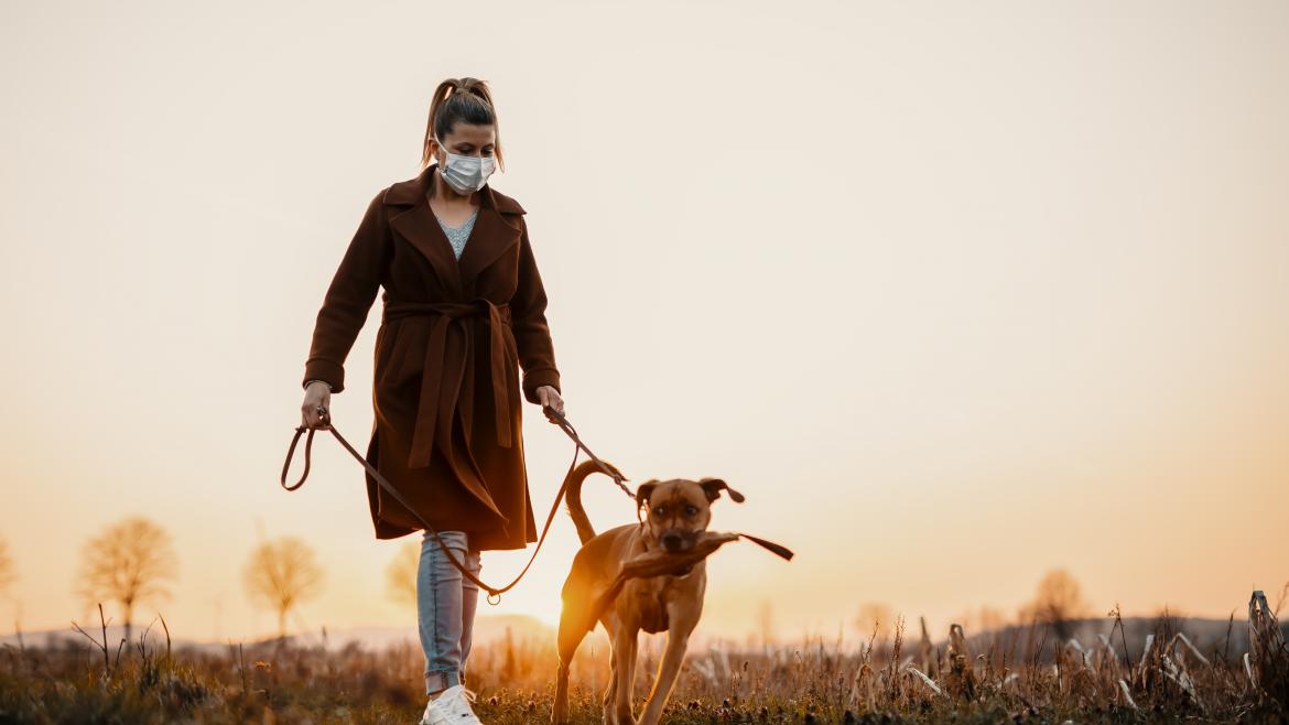 Chica paseando perro