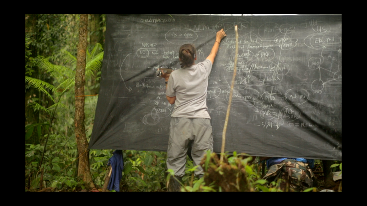 Mujer escribiendo en una pizarra rodeada de naturaleza