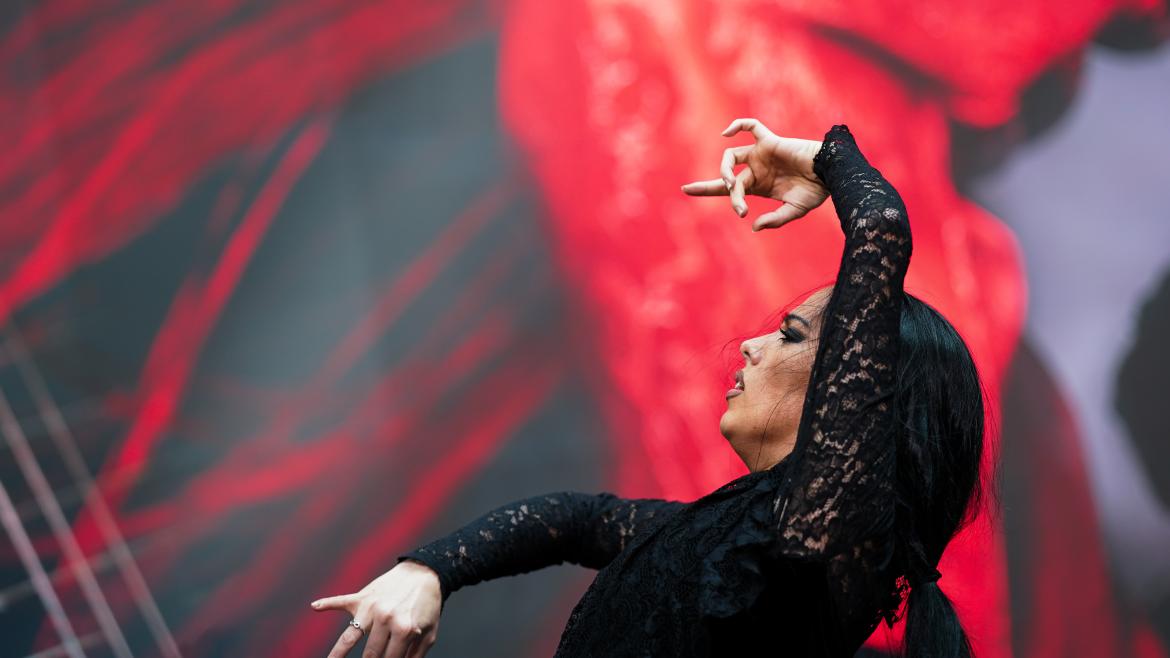 bailaora de flamenco