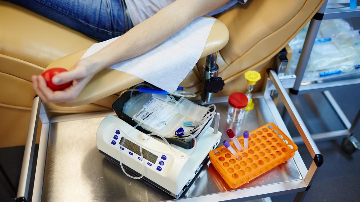 Día Mundial del donante de médula ósea y sangre de cordón umbilical