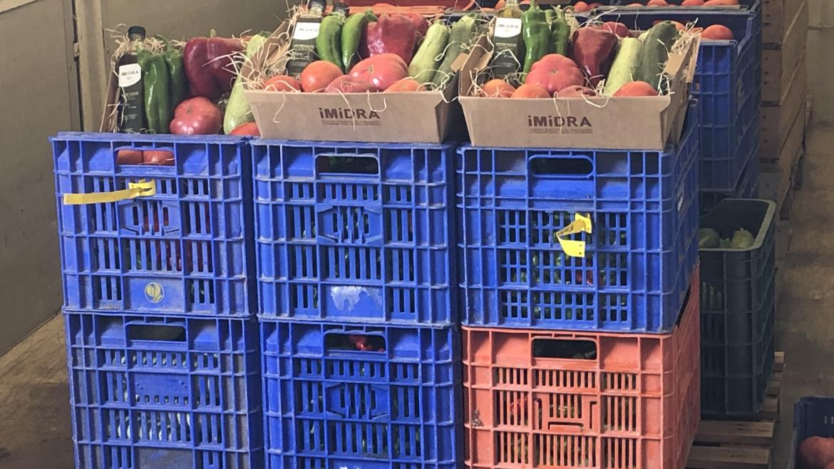 Alimentos donados al Banco de Alimentos de Madrid