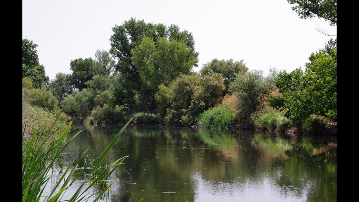 Una zona del Parque Regional del Sureste
