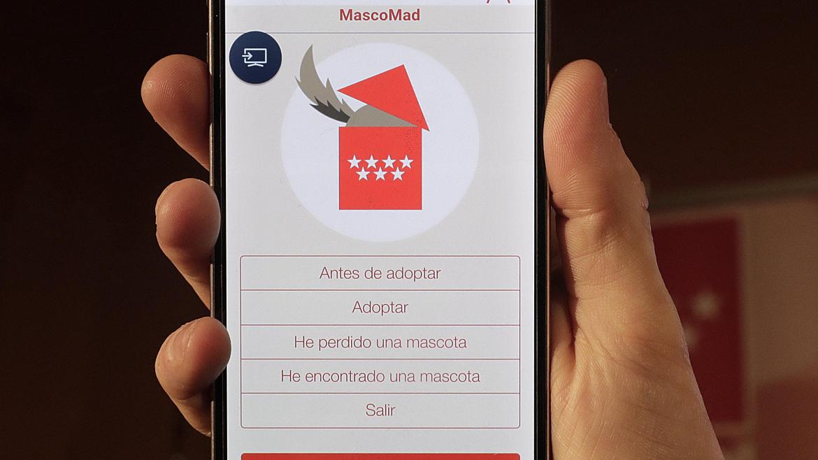 La Comunidad anima a utilizar la aplicación móvil Mascomad para adoptar mascotas abandonadas y recuperar a las extraviadas 