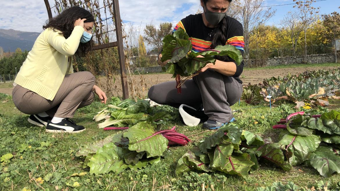 AgroLab Nuevo Laboratorio de Agricultura Abierta en Aranjuez
