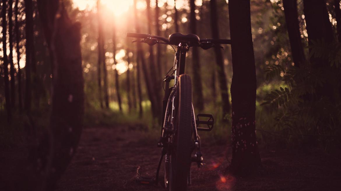 Una bici en una ruta de CiclaMadrid