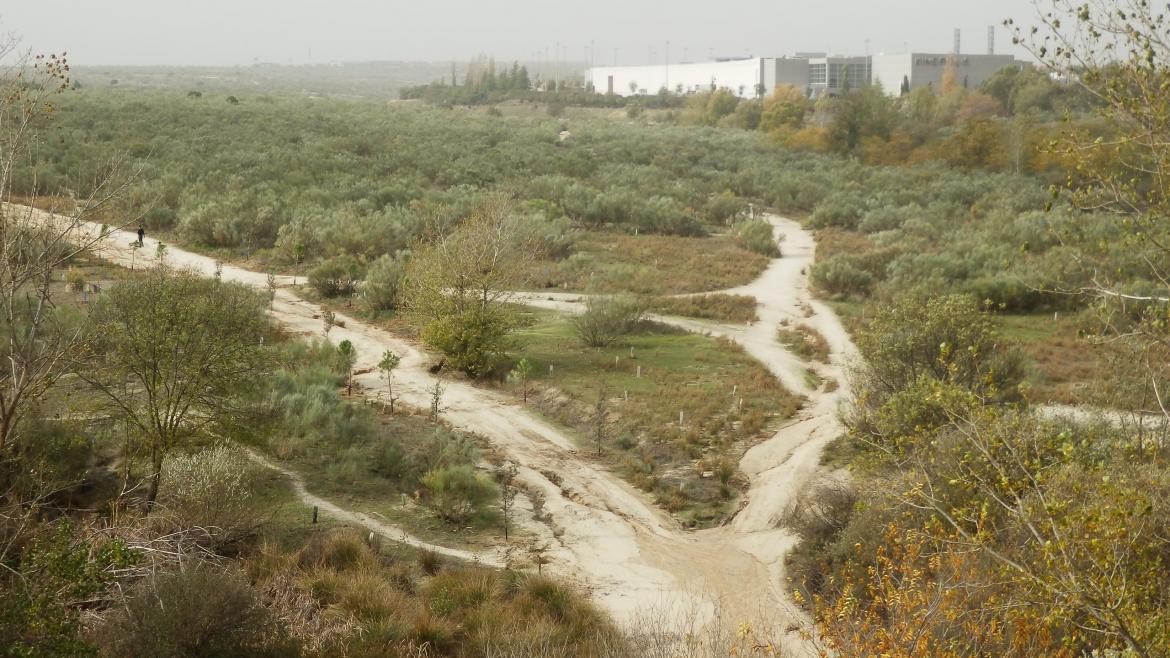 Imagen de la vía pecuaria de la Cañada Real