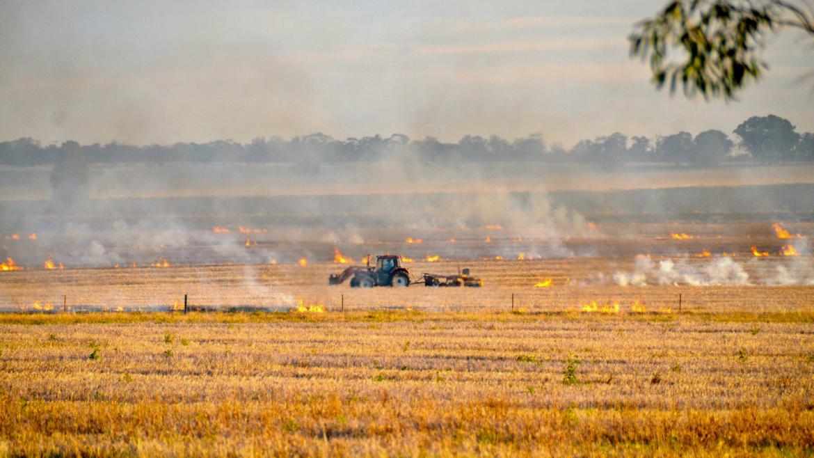 Prevención y extinción de incendios Quema de rastrojos