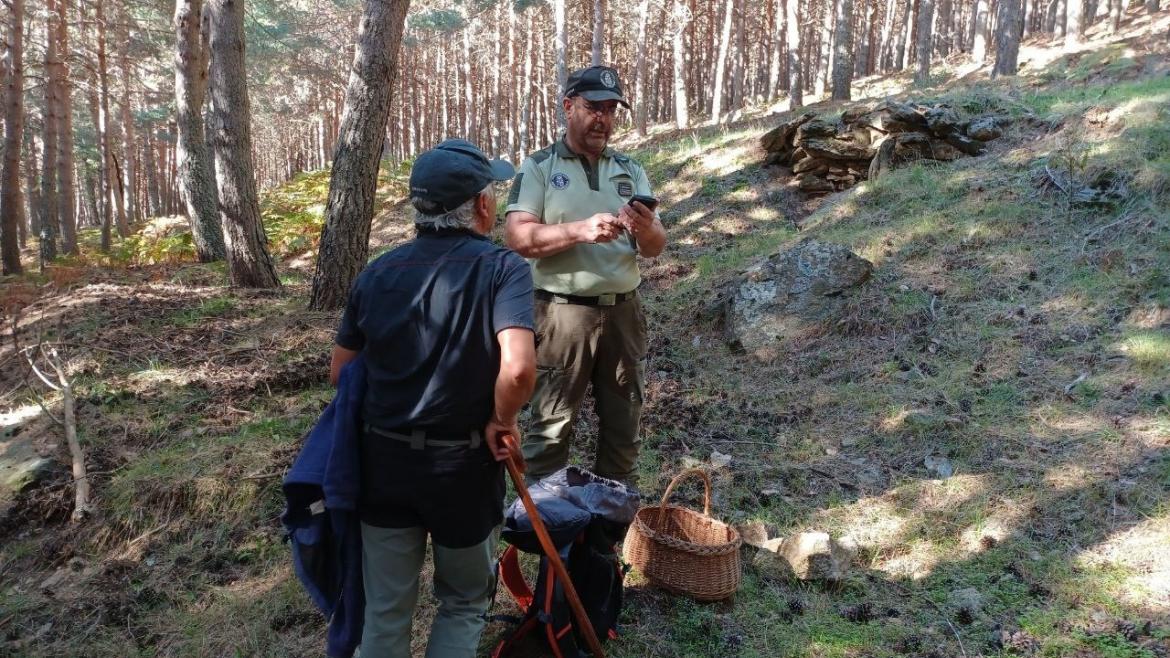 Un agente forestal con una persona que recoge setas