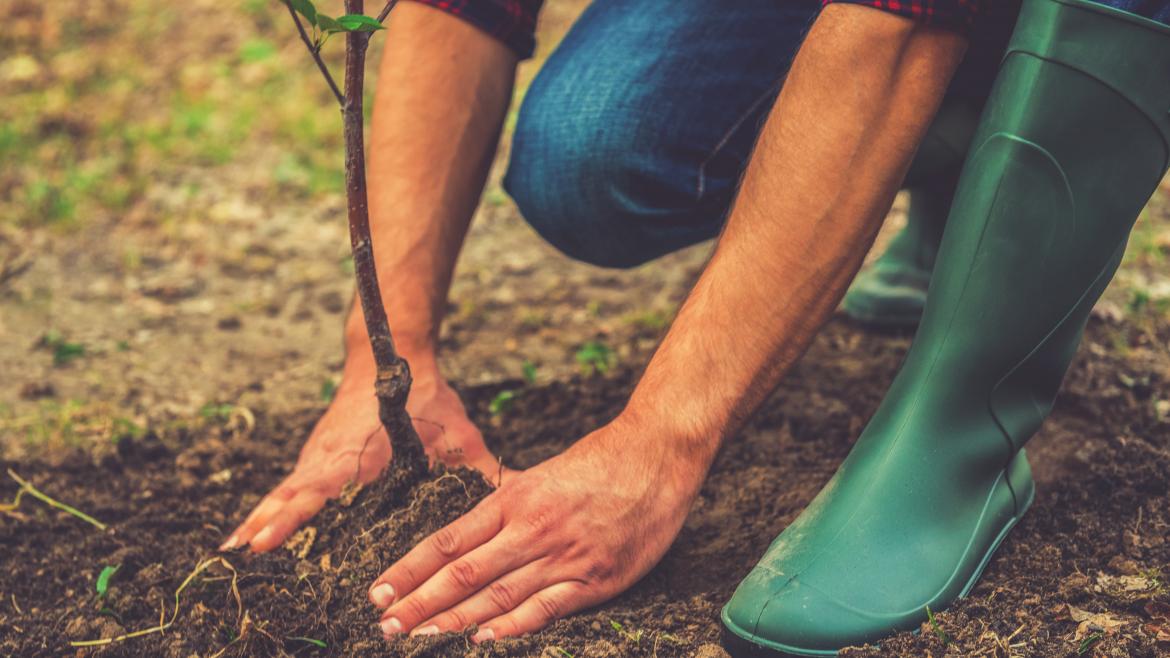 La Comunidad de Madrid, presente en más de 30 iniciativas medioambientales en la COP25 Joven plantando un árbol