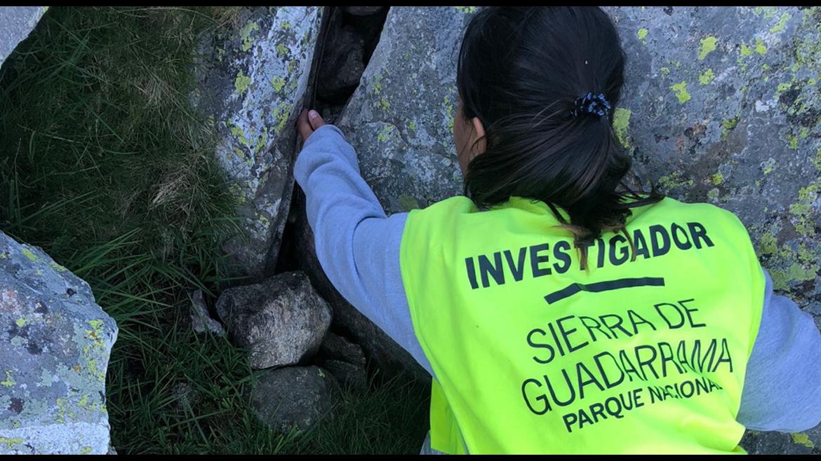 La Comunidad protege al sapo partero, la especie más amenazada del Parque Nacional