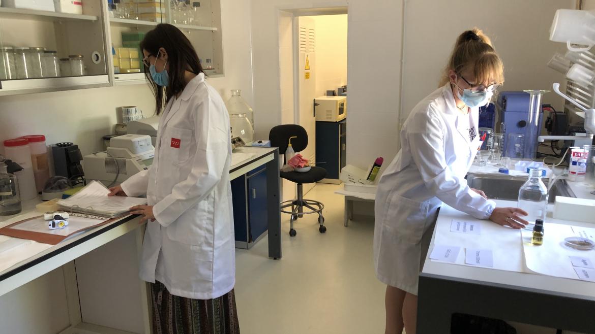 Investigadoras del IMIDRA