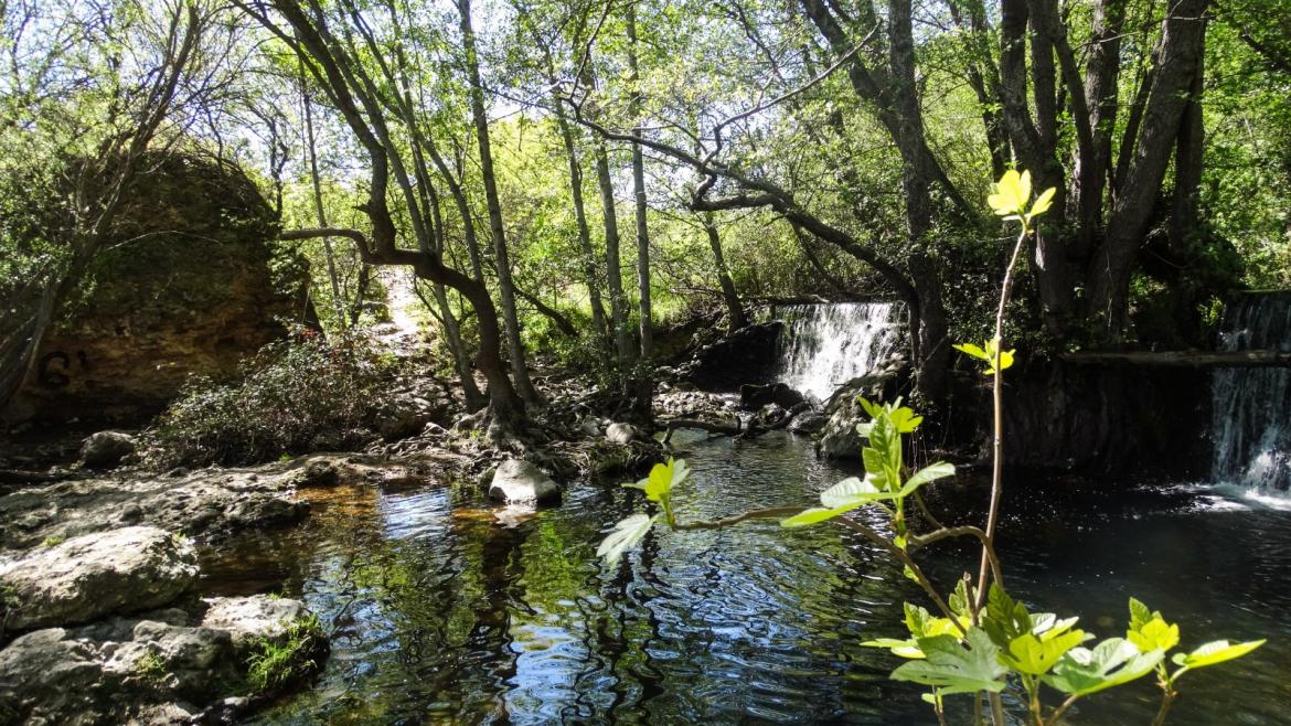 Imagen de cabecera #0 de la página de "Canal de Isabel II destina 33 millones a la depuración en la cuenca del Jarama Medio y Henares"