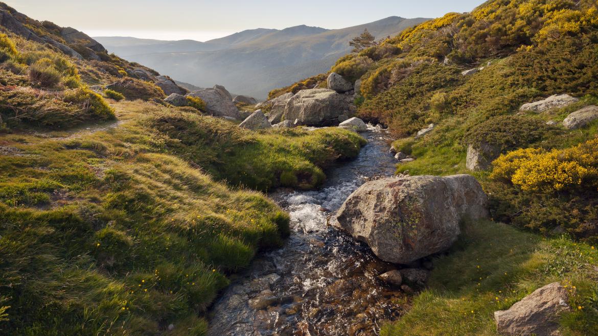 Parque Nacional Sierra de Guadarrama