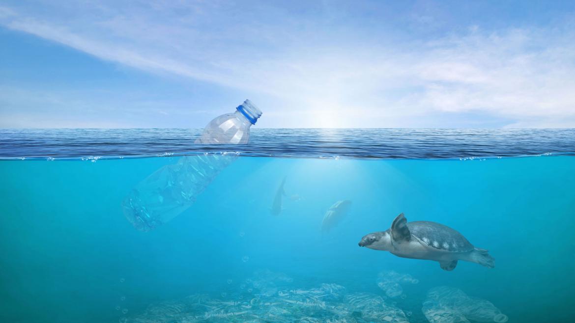 Plástico mar naturaleza tortuga agua