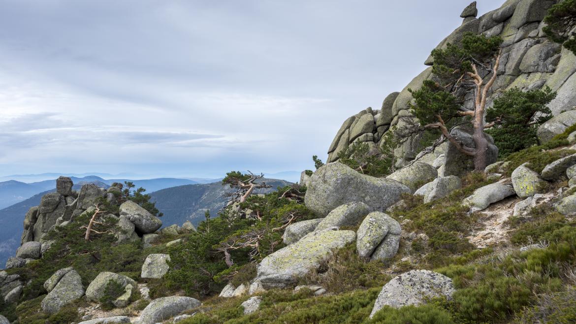 Siete Picos en el Parque Nacional de la Sierra de Guadarrama