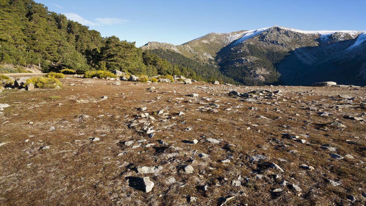 Sierra de Guadarrama Sierra de Guadarrama