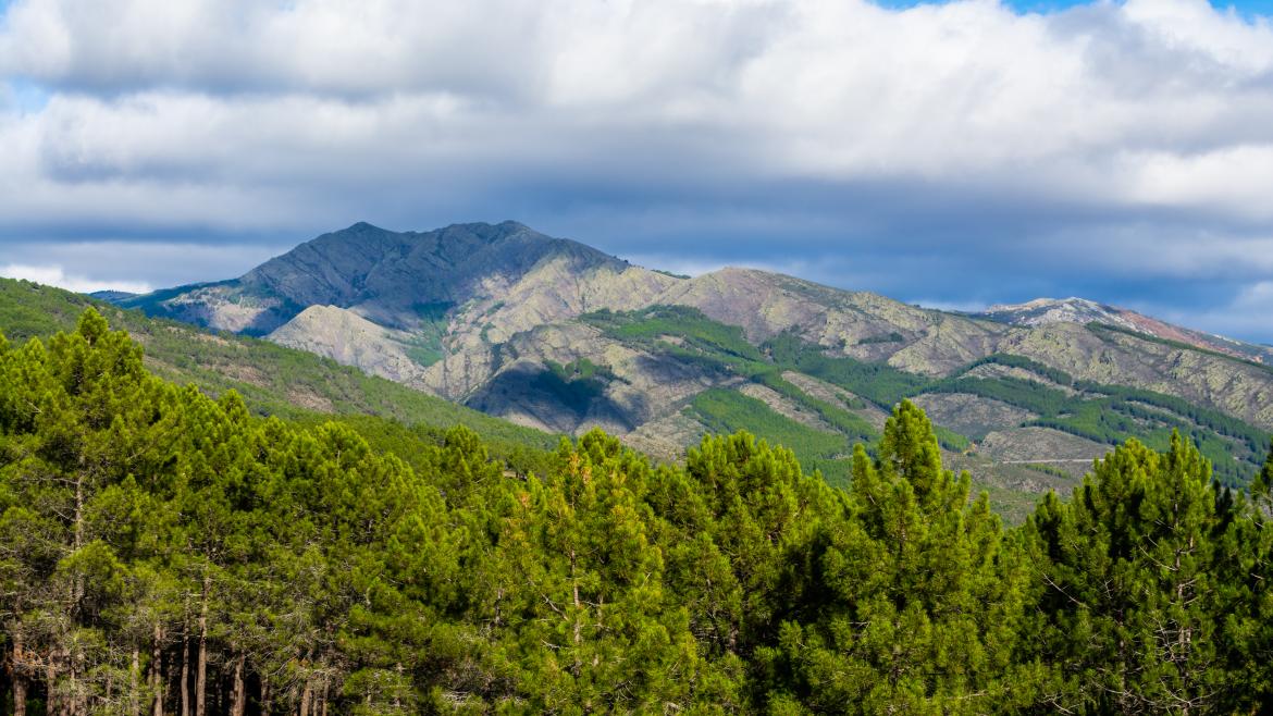 Paisaje de la Sierra Norte