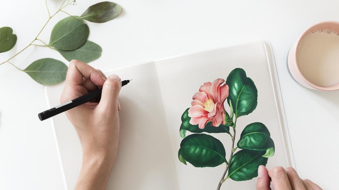 Dibujar planta lámina Dibujar planta lámina