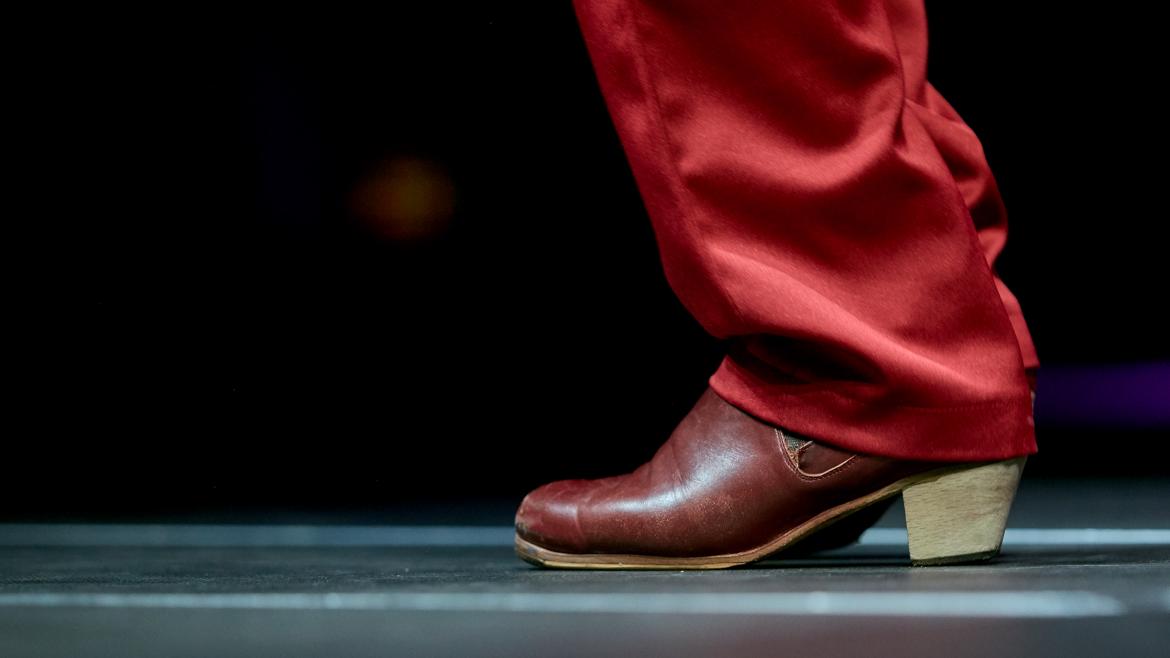 Zapatos marrones flamenco