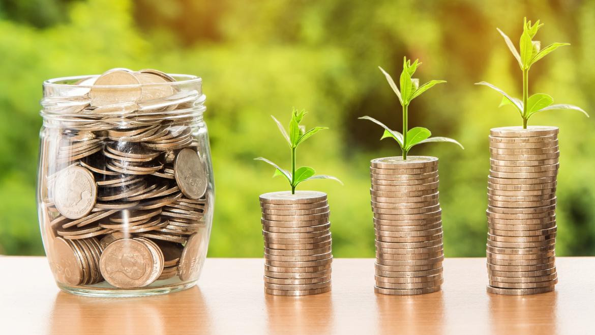 contabilidad y fiscalidad agraria monedas apiladas unas sobres otras en tres montones con una rama verde sobre ellas y un tarro de cristal con monedas a la izquierda