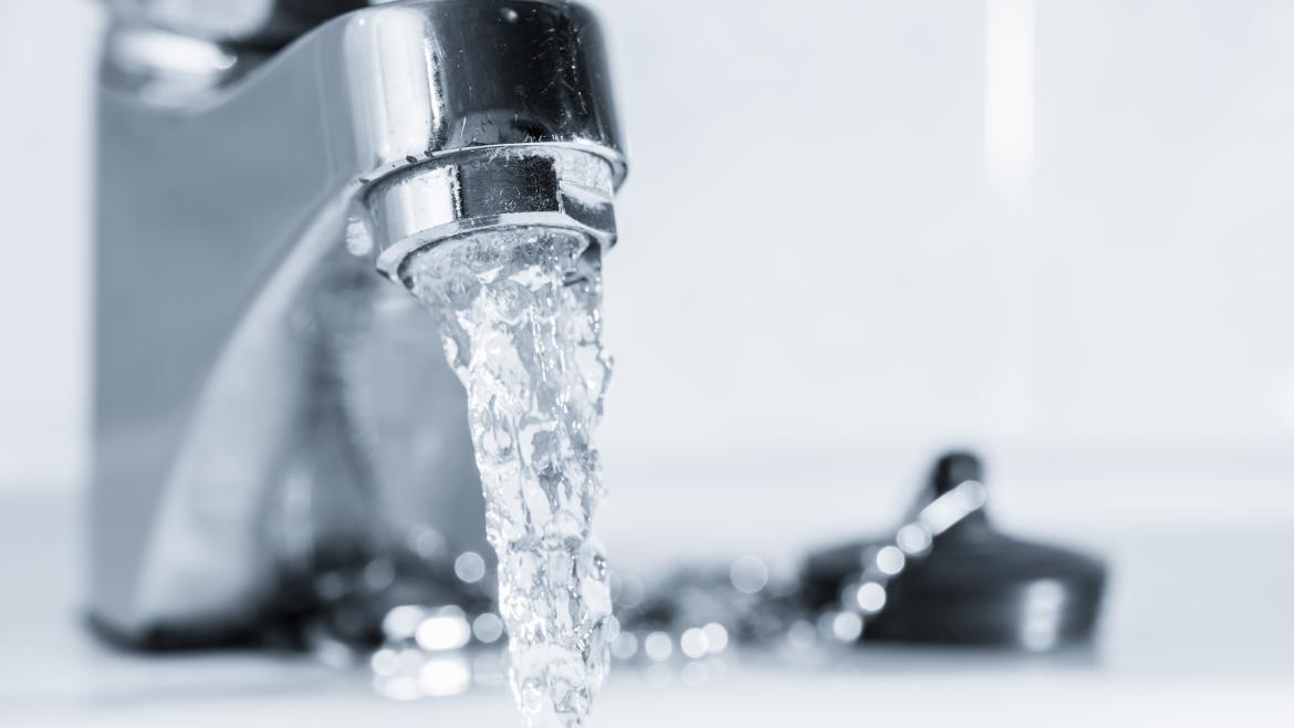 Grifo agua Grifo con agua