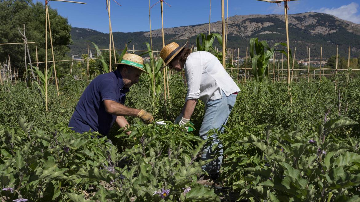 Visita a los laboratorios de agricultura participativa en El Escorial