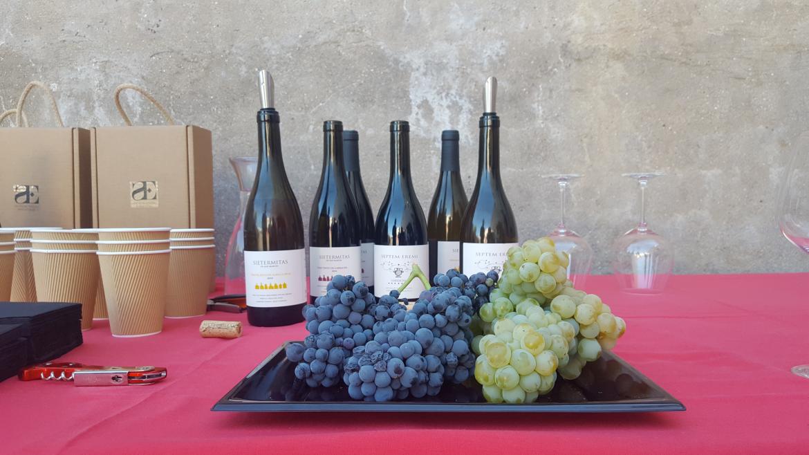 Izquierdo entrega el sello ‘M Producto Certificado’ a la bodega Viñadores de Valdeiglesias