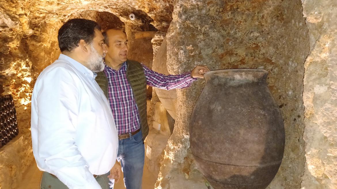 La Comunidad de Madrid finaliza la temporada de vendimia con más de 9 millones de kilos de uva recogida Ángel de Oteo, director general de Agricultura y Ganadería en la Bodega Pedro García de Colmenar de Oreja