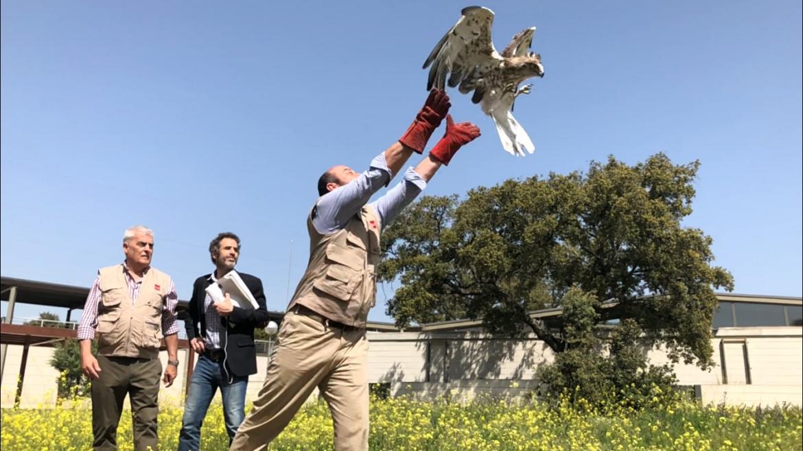 Pedro Rollán visita el Centro de Recuperación de Animales Silvestres