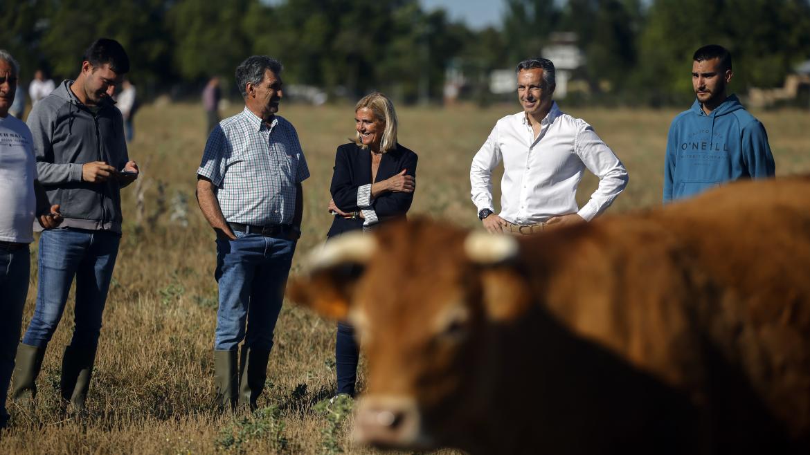 El consejero Carlos Novillo durante su visita a una ganadería de vacuno en Collado Villalba