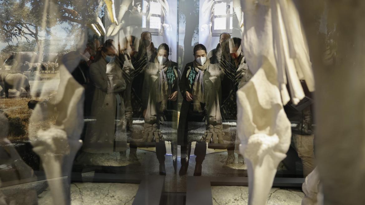 La consejera Marta Rivera acude a la inauguración de la nueva sala de paleontología en el Museo Arqueológico Regional La consejera recorriendo las instalaciones de la sala