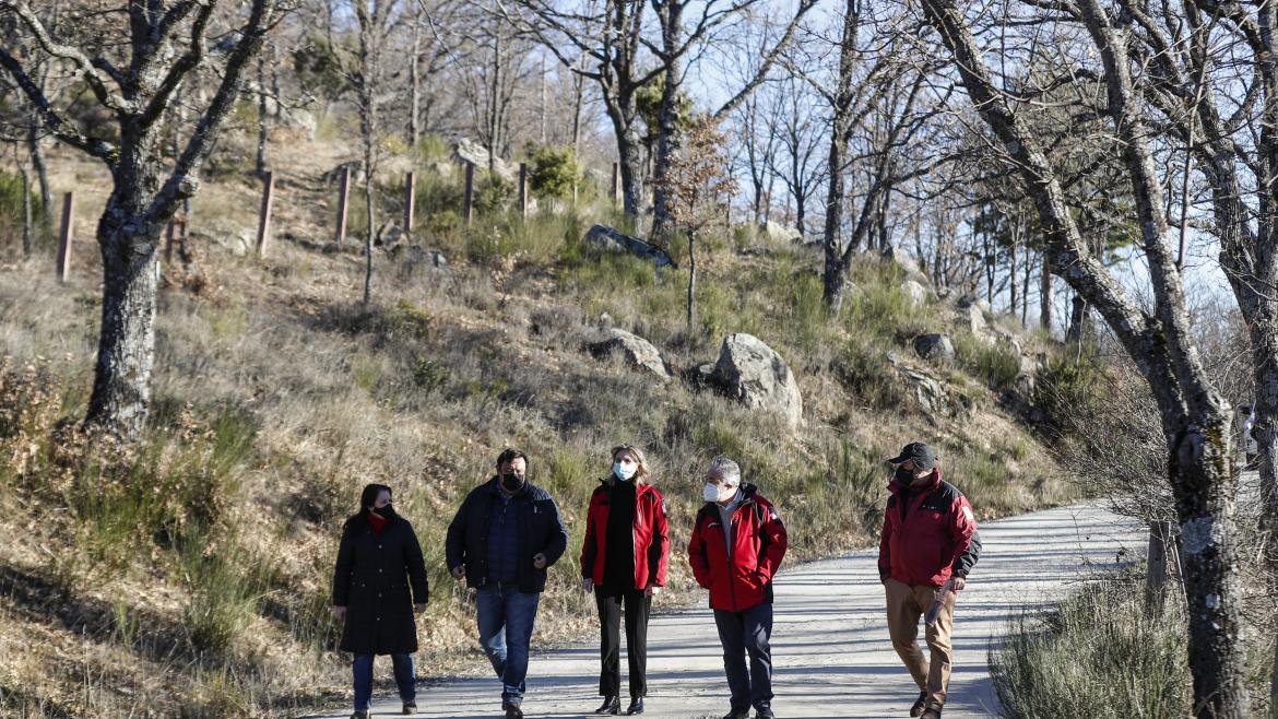 La consejera caminando por el bosque