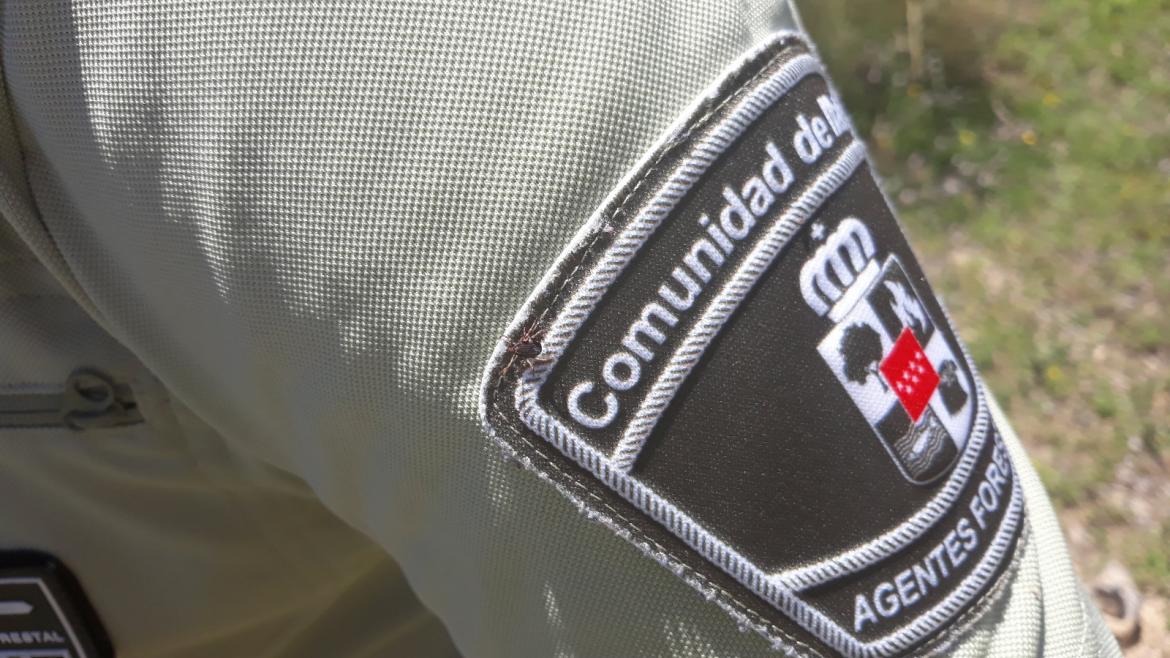 Escudo de los agentes forestales de la Comunidad de Madrid 