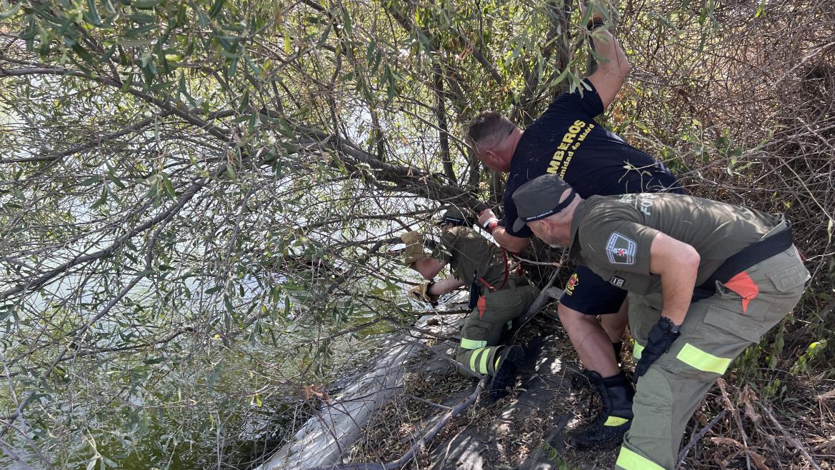 intervenciones de rescate de animales 