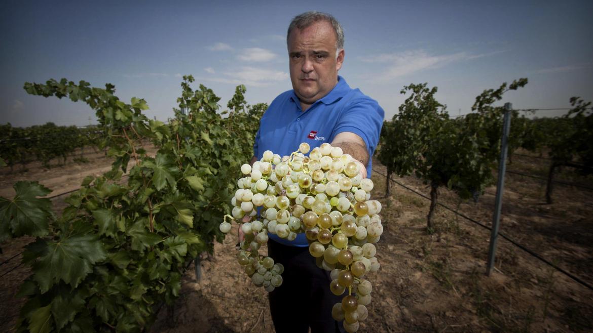 Vid Vides IMIDRA El Encin vino agricultor Vides de la Comunidad de Madrid