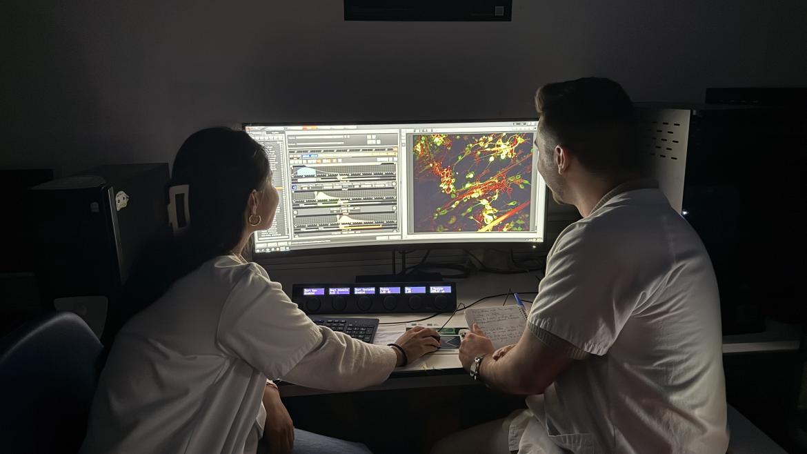 investigadores analizando imagen