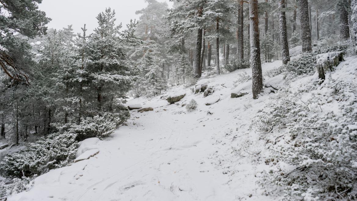 Puerto de Navacerrada