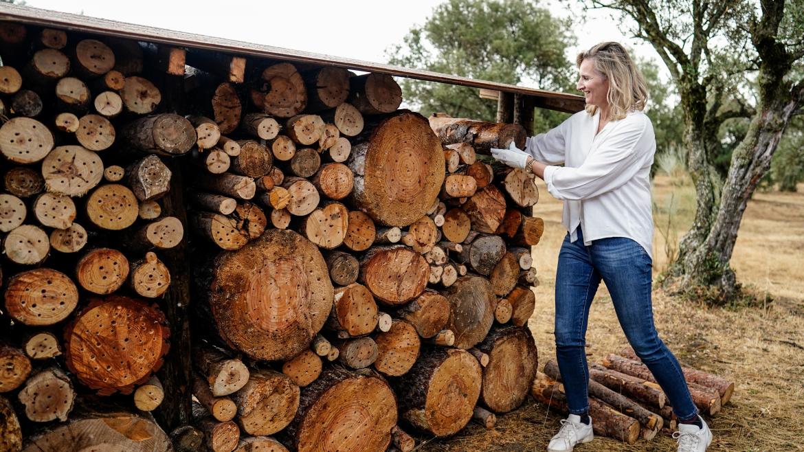 La Comunidad de Madrid ampliará Arco Verde en 10,5 nuevas hectáreas con la incorporación de Boadilla del Monte, Parla y Villaviciosa de Odón La consejera Paloma Martín coloca un tronco