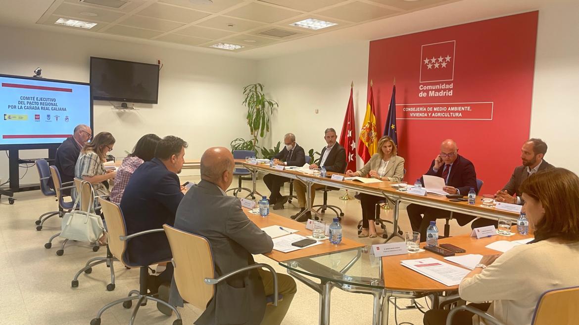 La consejera Paloma Martín durante la reunión del comité ejecutivo