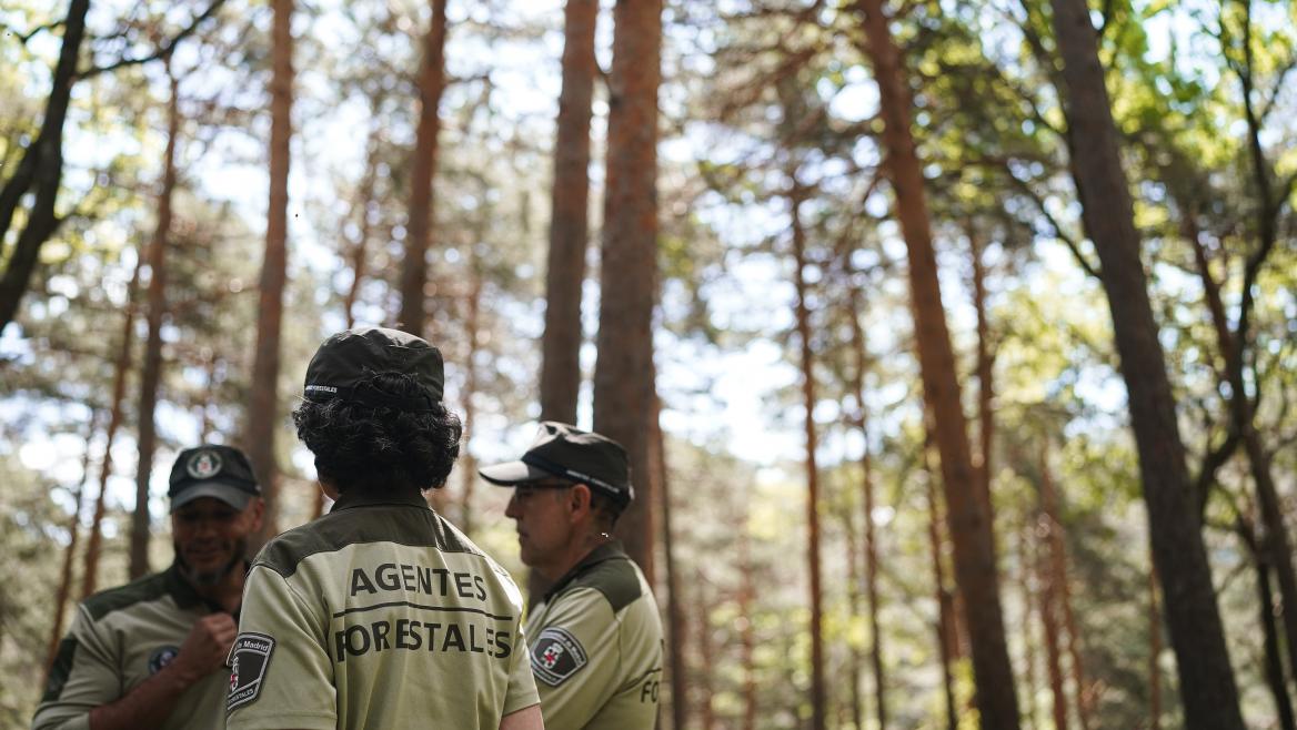 Cuerpo de Agentes Forestales