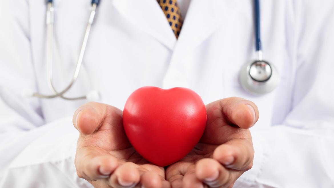 Una manos de un médico sostienen un corazón